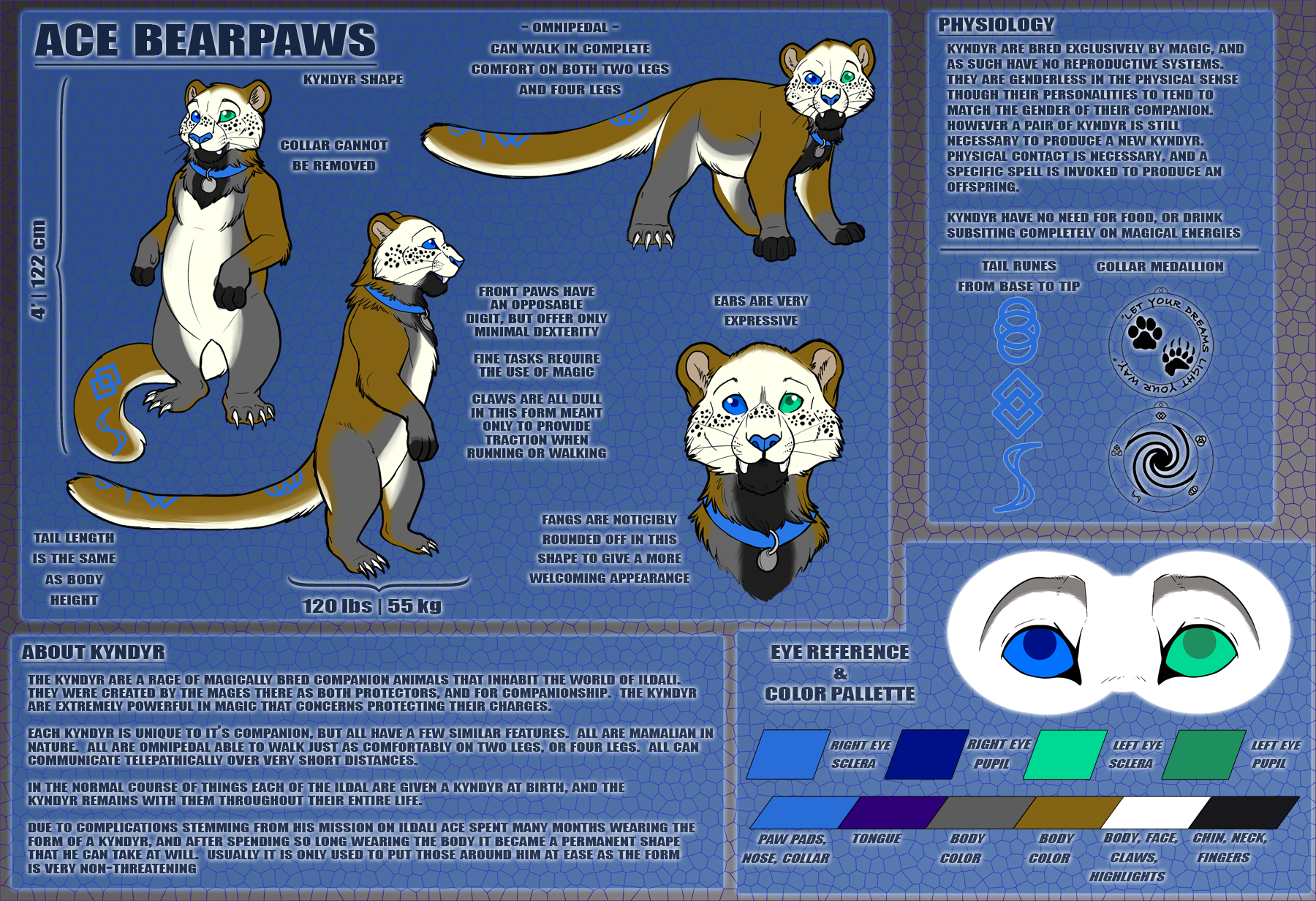 Ace Bearpaws - Kyndyr Model Sheet - By Likeshine