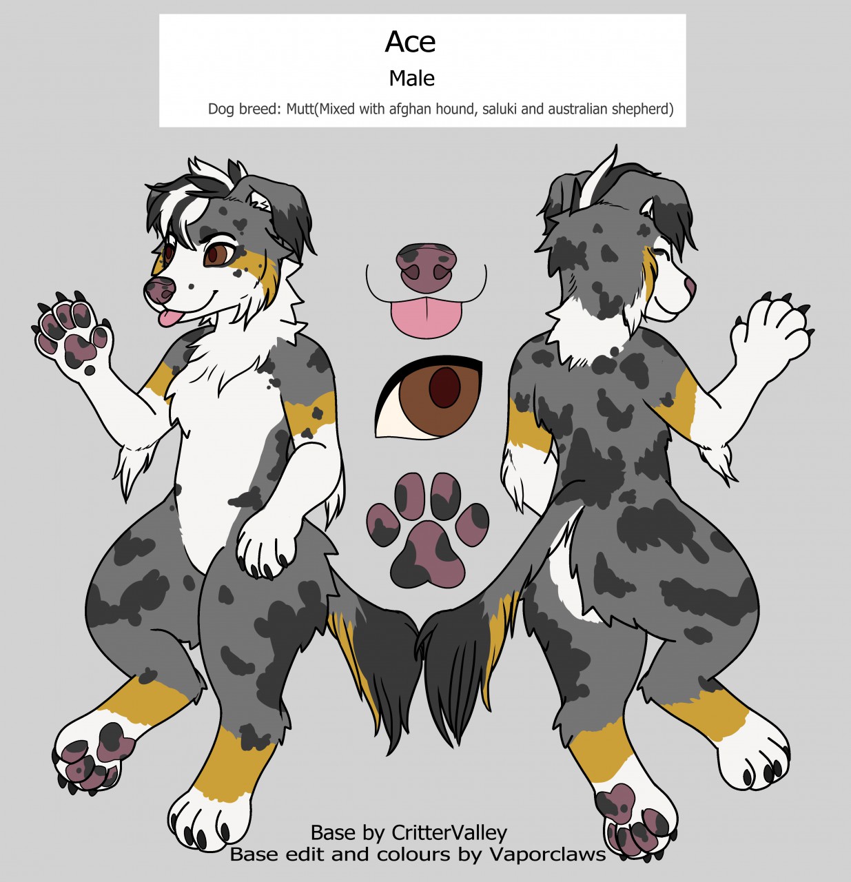 Ace [SFW] by Acebit -- Fur Affinity [dot] net