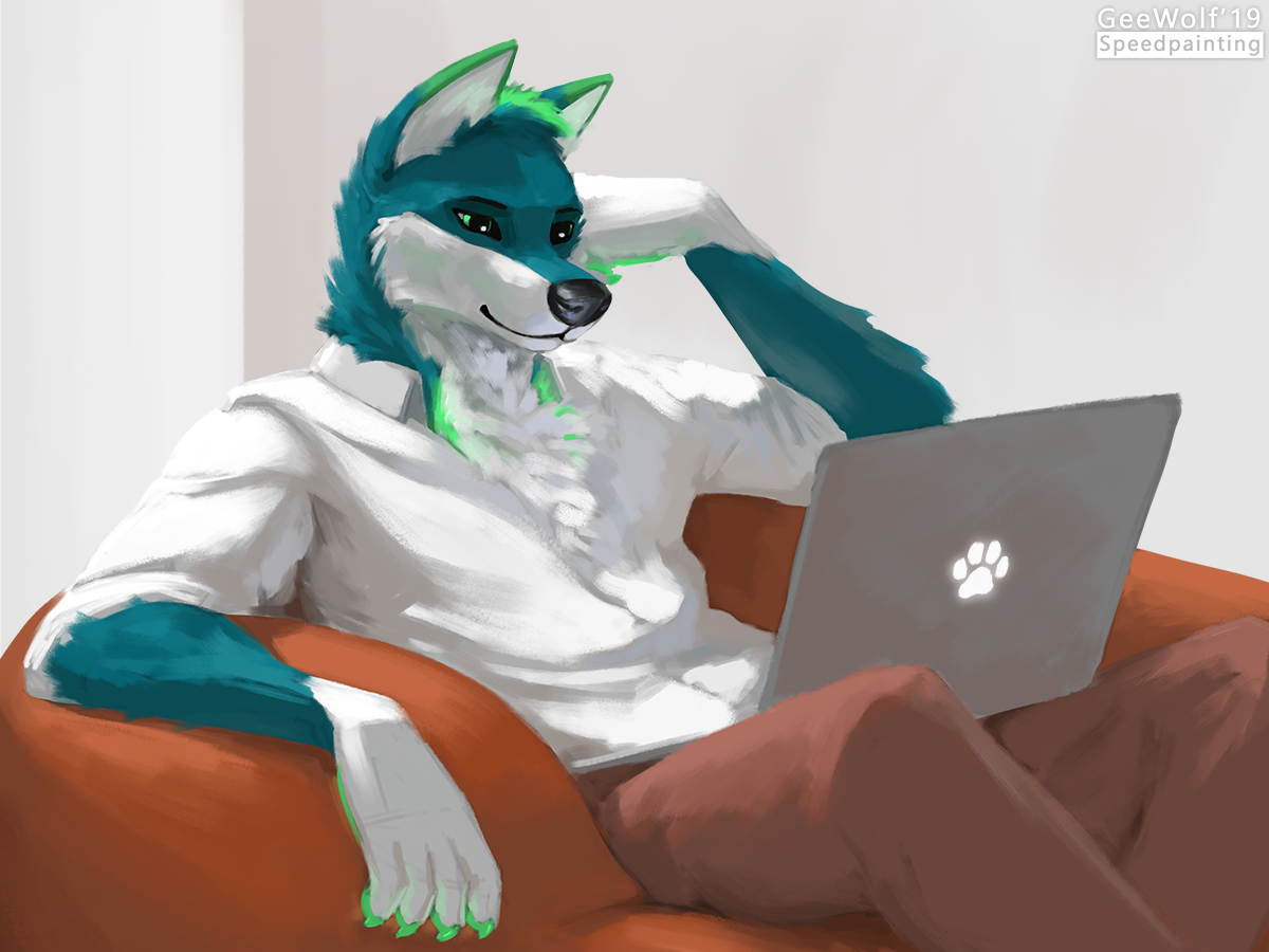 Furry Video Chat