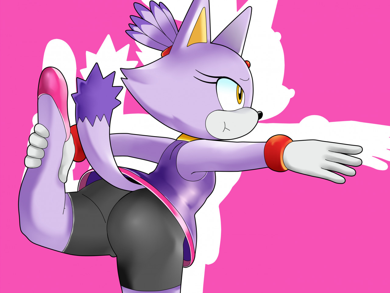 Blaze the Cat 1 by Aerth -- Fur Affinity [dot] net