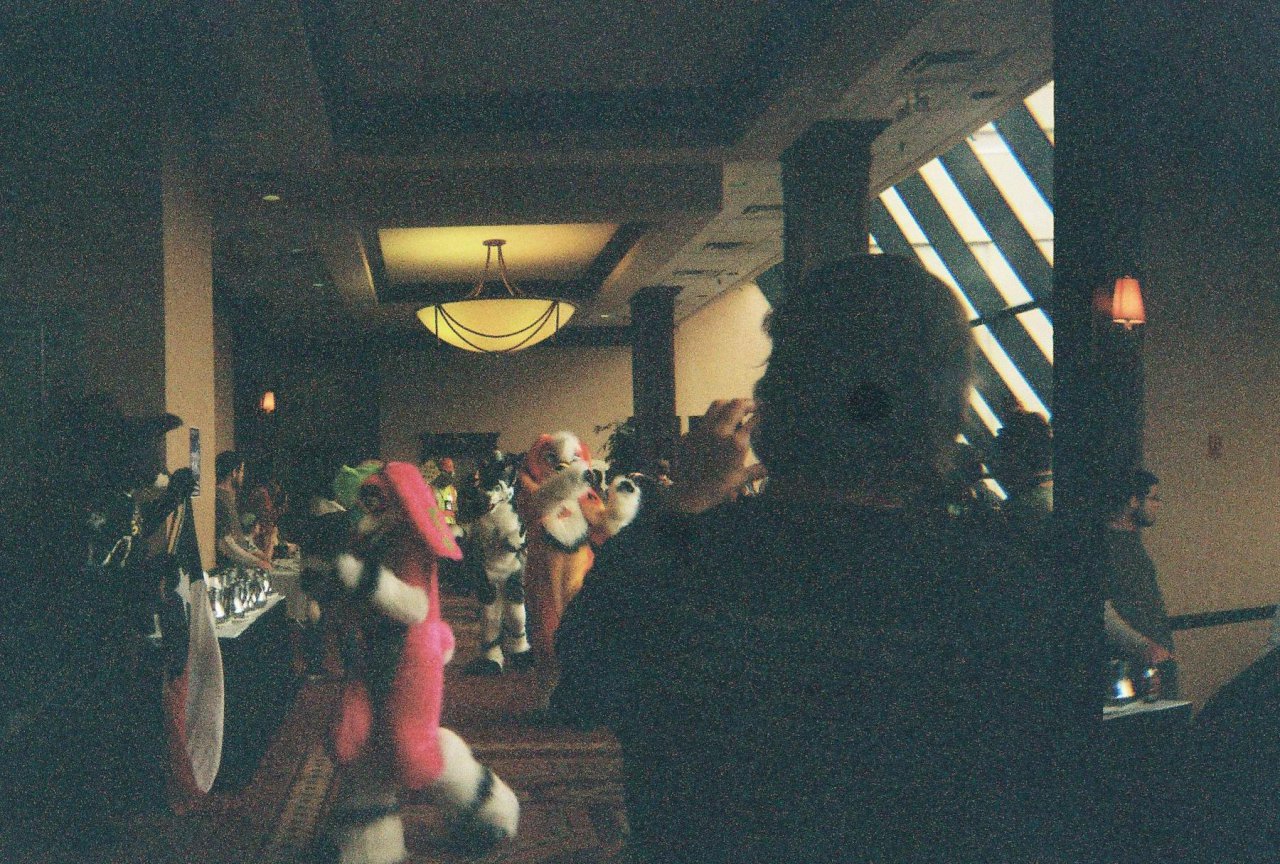 FF Fursuit Parade pic #2