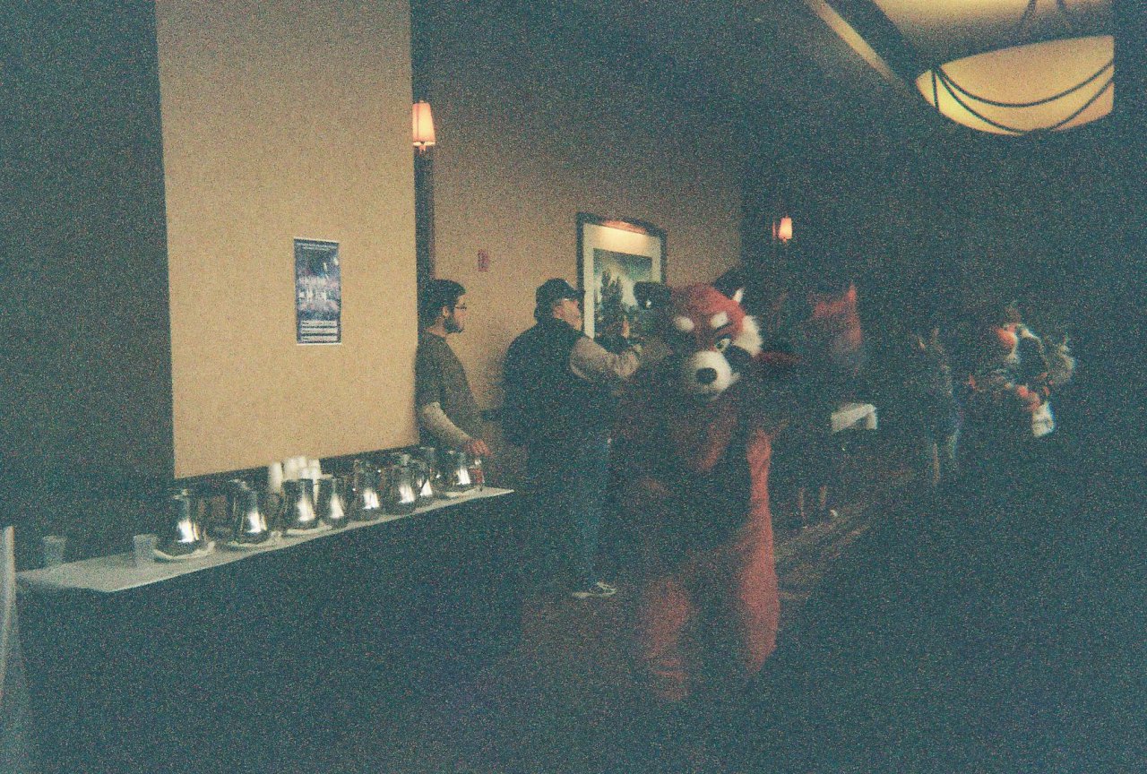 FF Fursuit Parade pic #5