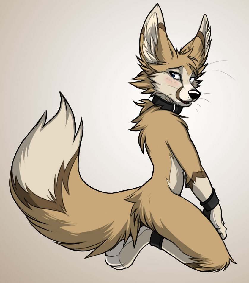All. shy. fox. 
