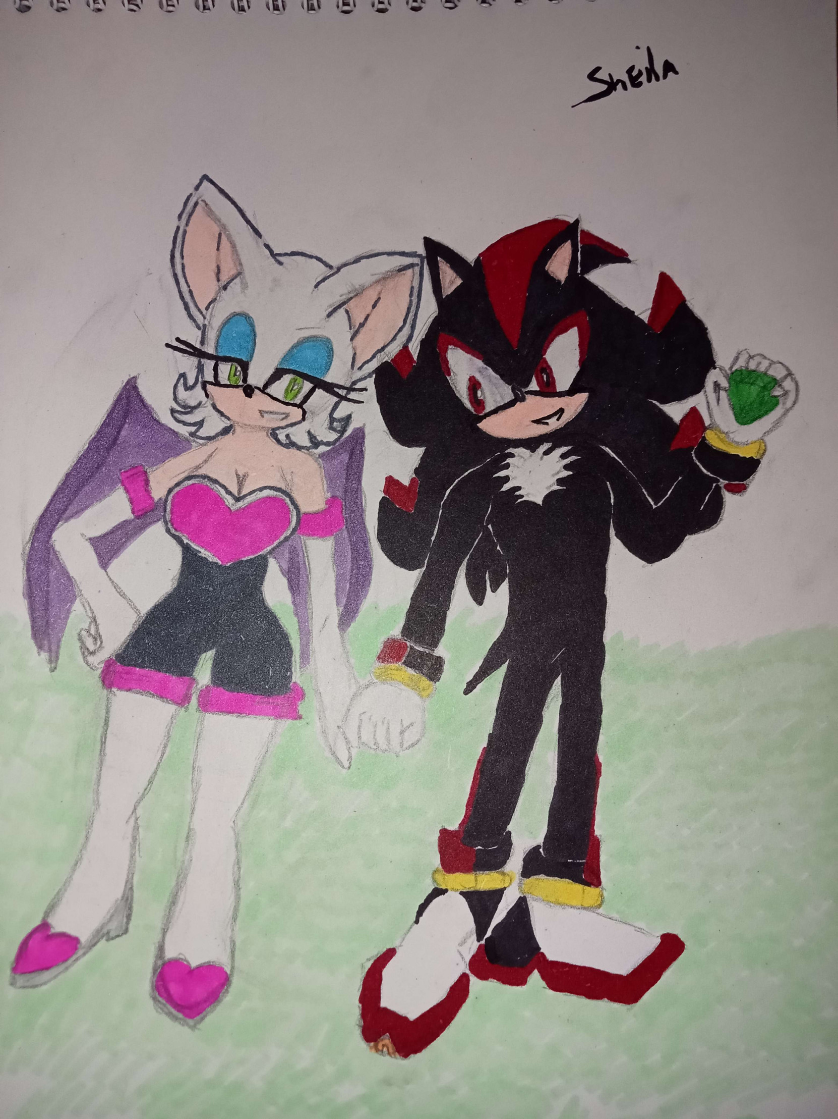 Rouge the Bat & Shadow The Hedgehog by Akenomyosei -- Fur Affinity [dot] net