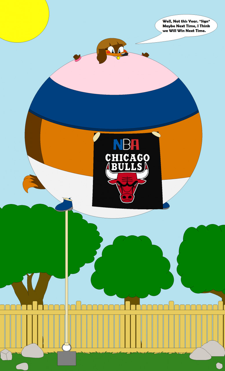 chicago bulls logo nerd