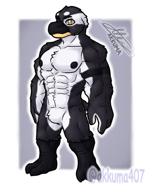 oc] new penguin oc by alexmauro407 -- Fur Affinity [dot] net