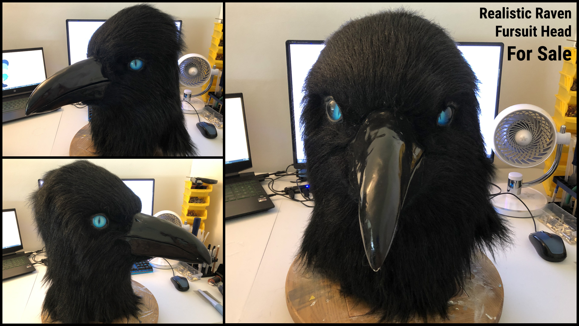 Realistic Raven Head 4 sale by alkora -- Fur Affinity [dot] net