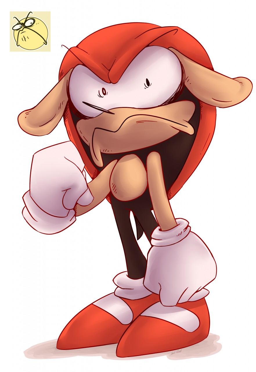 Sonic: Mighty the Armadillo & RJ the Alpaca Fan Art Collab! by