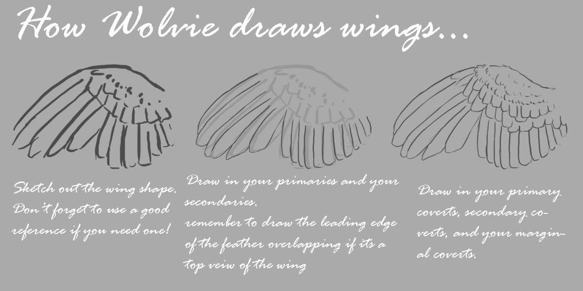 Wing tutorial for the dides, how to get wings in your hair