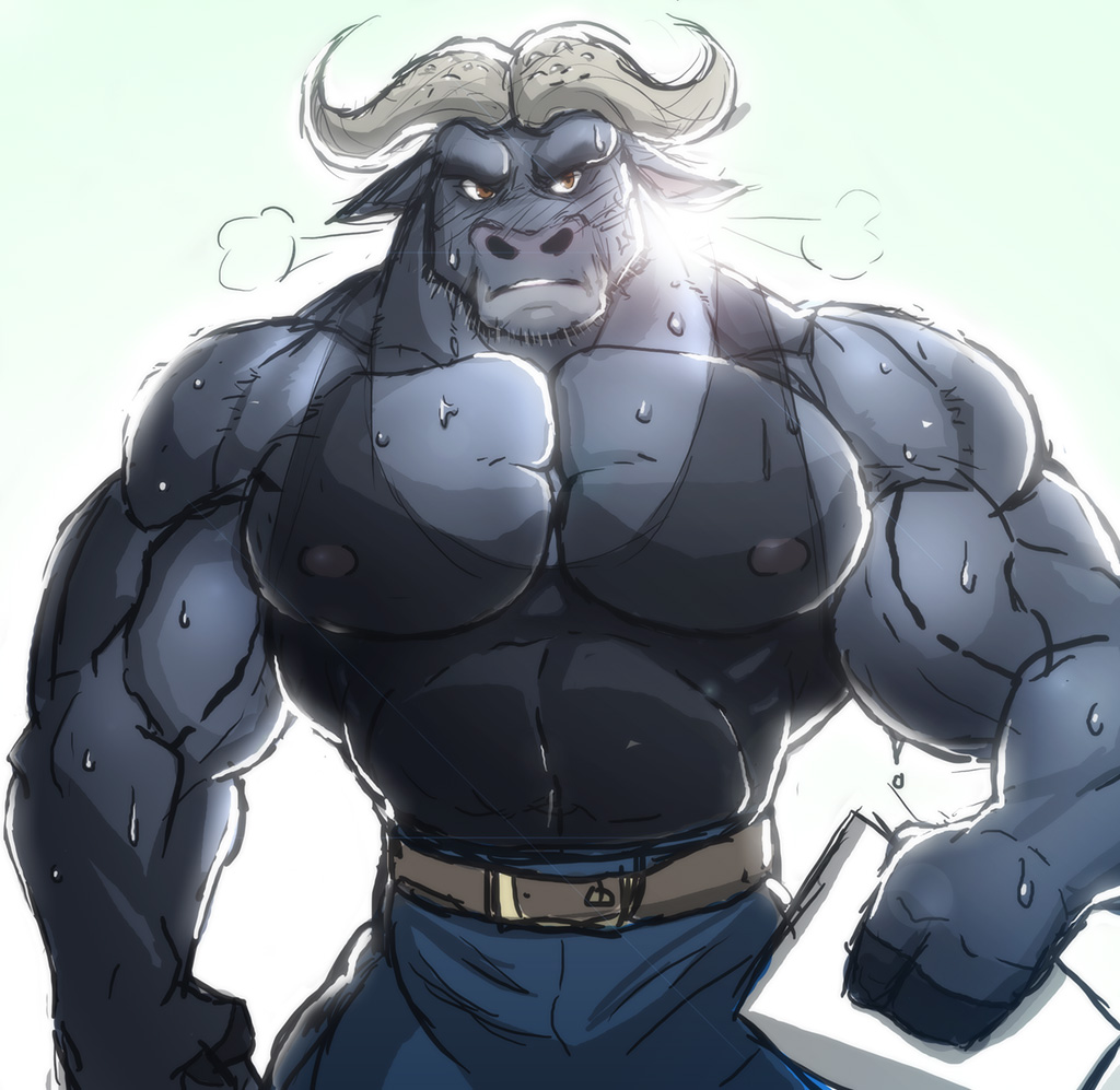 Muscle bulls