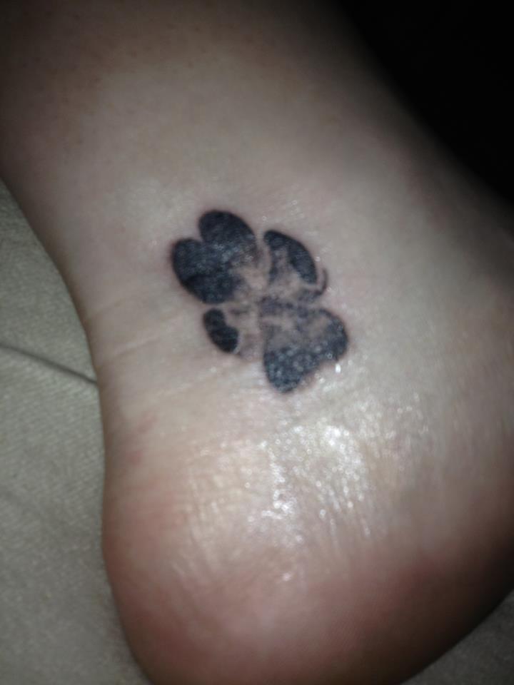 Cat and paw prints - Tattoo by Chelsea Cleveland by SmilinPirateTattoo on  DeviantArt