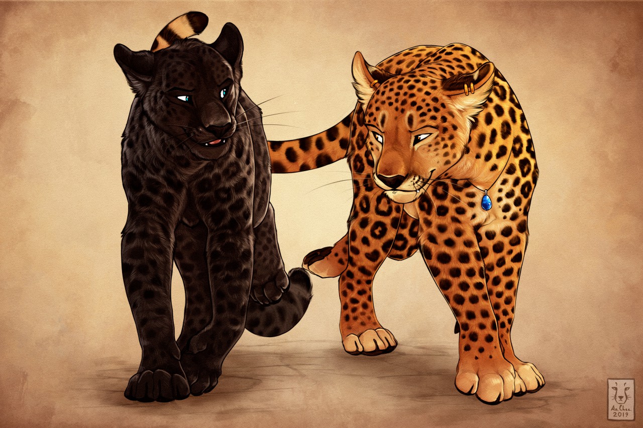 Гепард леопард Ягуар Пума