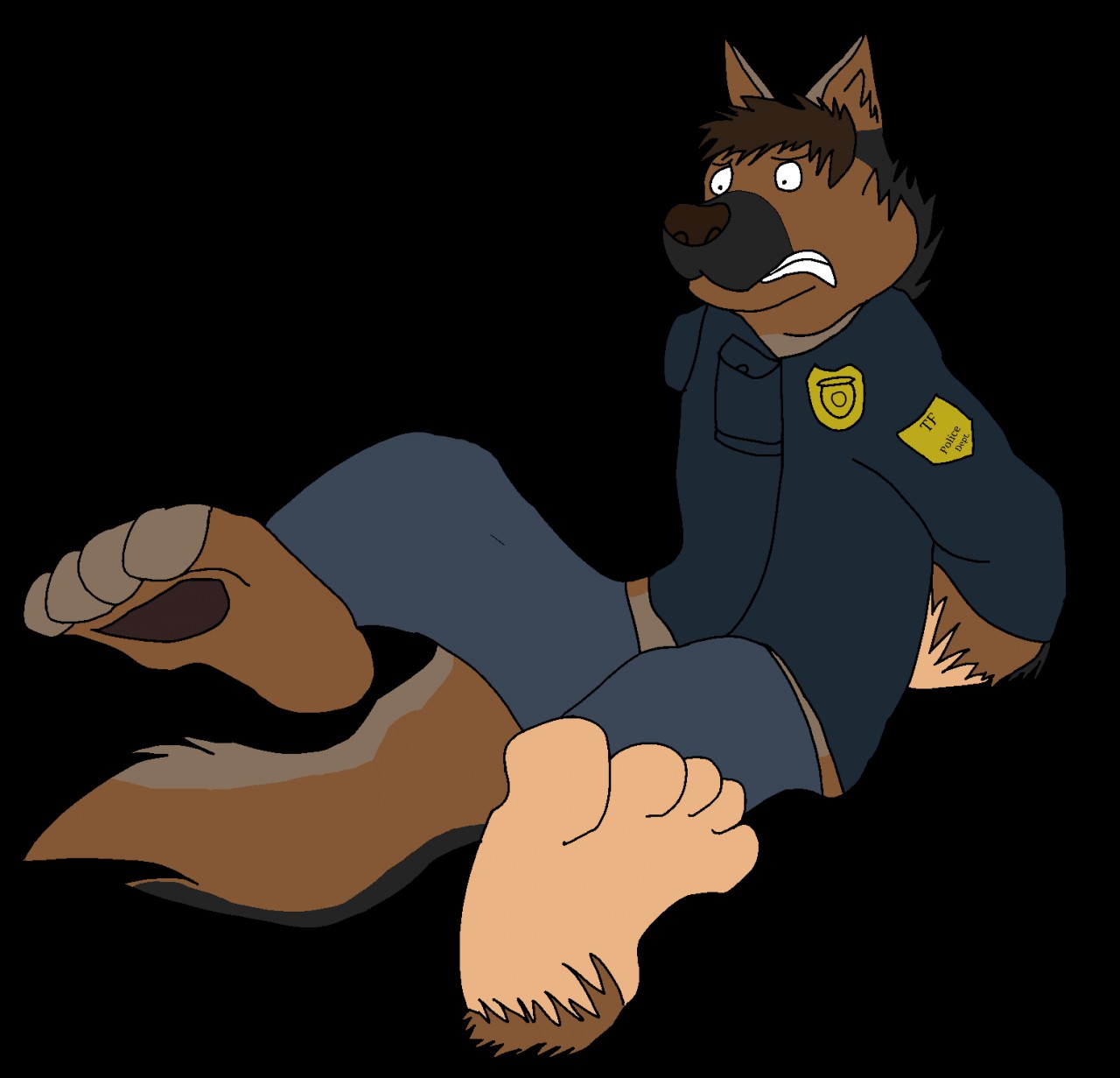 German sales shepherd tf