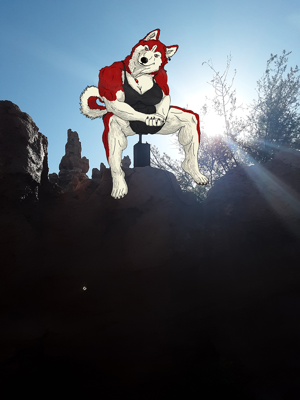 Muscle female husky on Big Thunder Mtn. by animagusurreal -- Fur Affinity  [dot] net