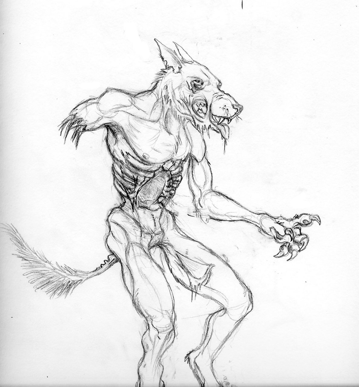 zombie wolf lineart