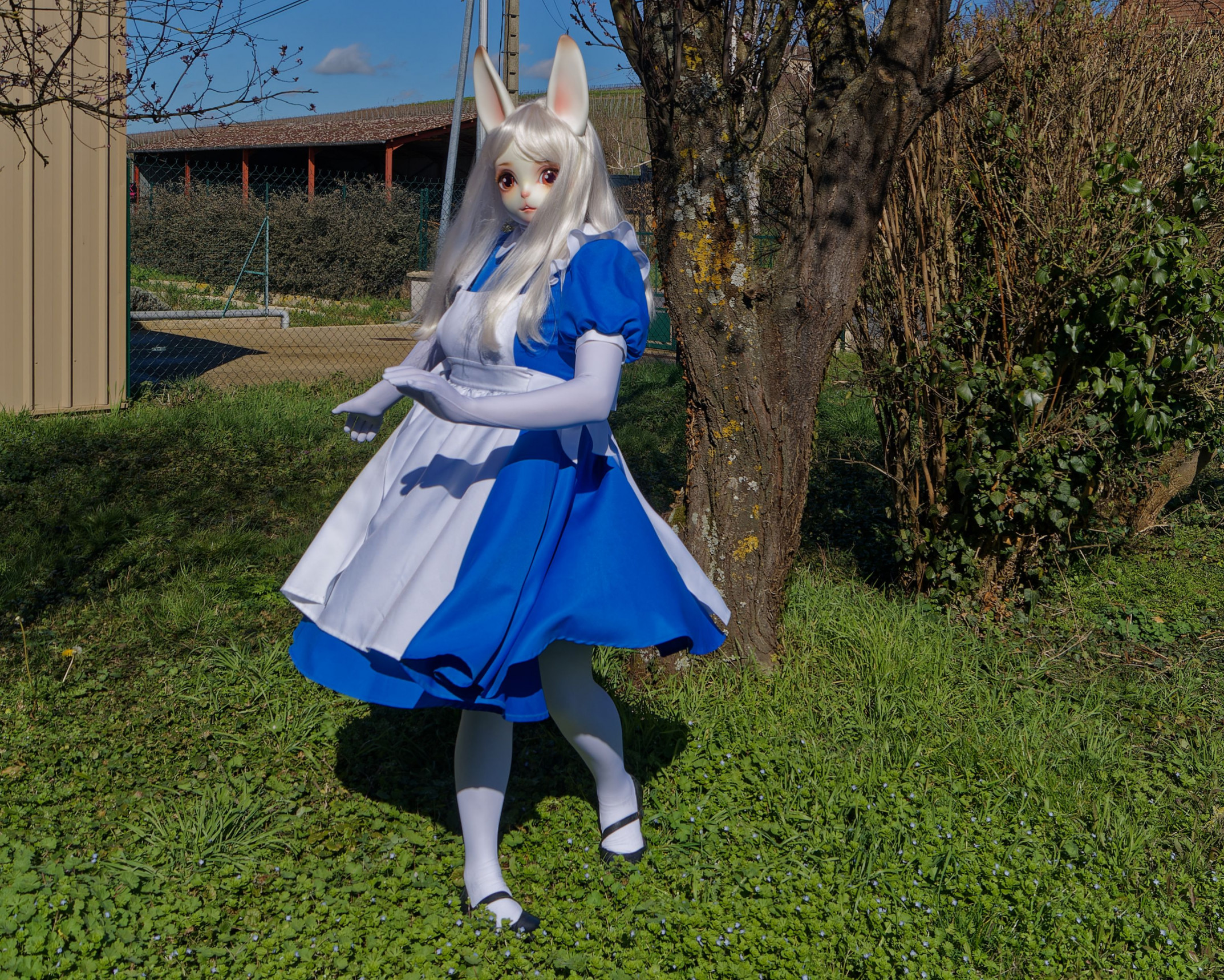 Alice the Bunny by aoi-kitsune -- Fur Affinity [dot] net