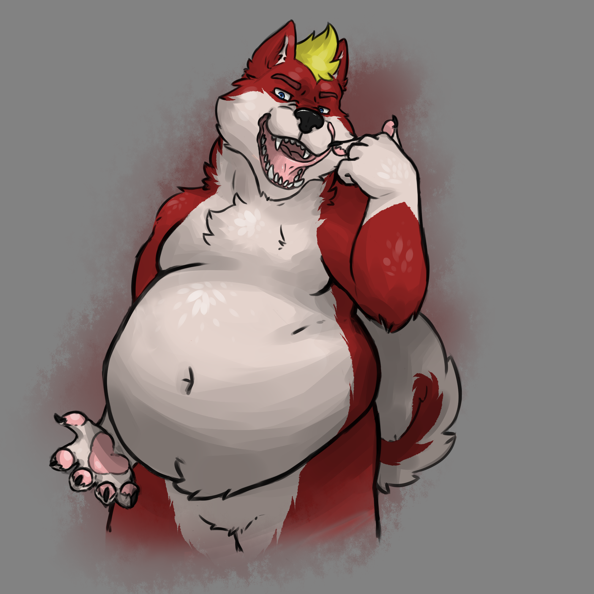 Fat belly wolf