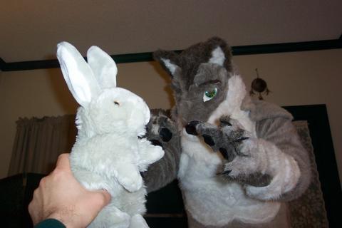 fursuit pic 2