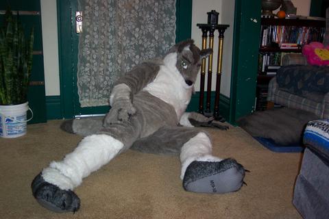 fursuit pic 7