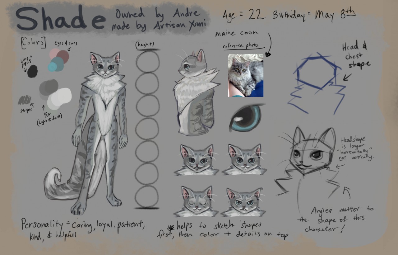 Commission Cat Full Reference Sheet (Download Now) 