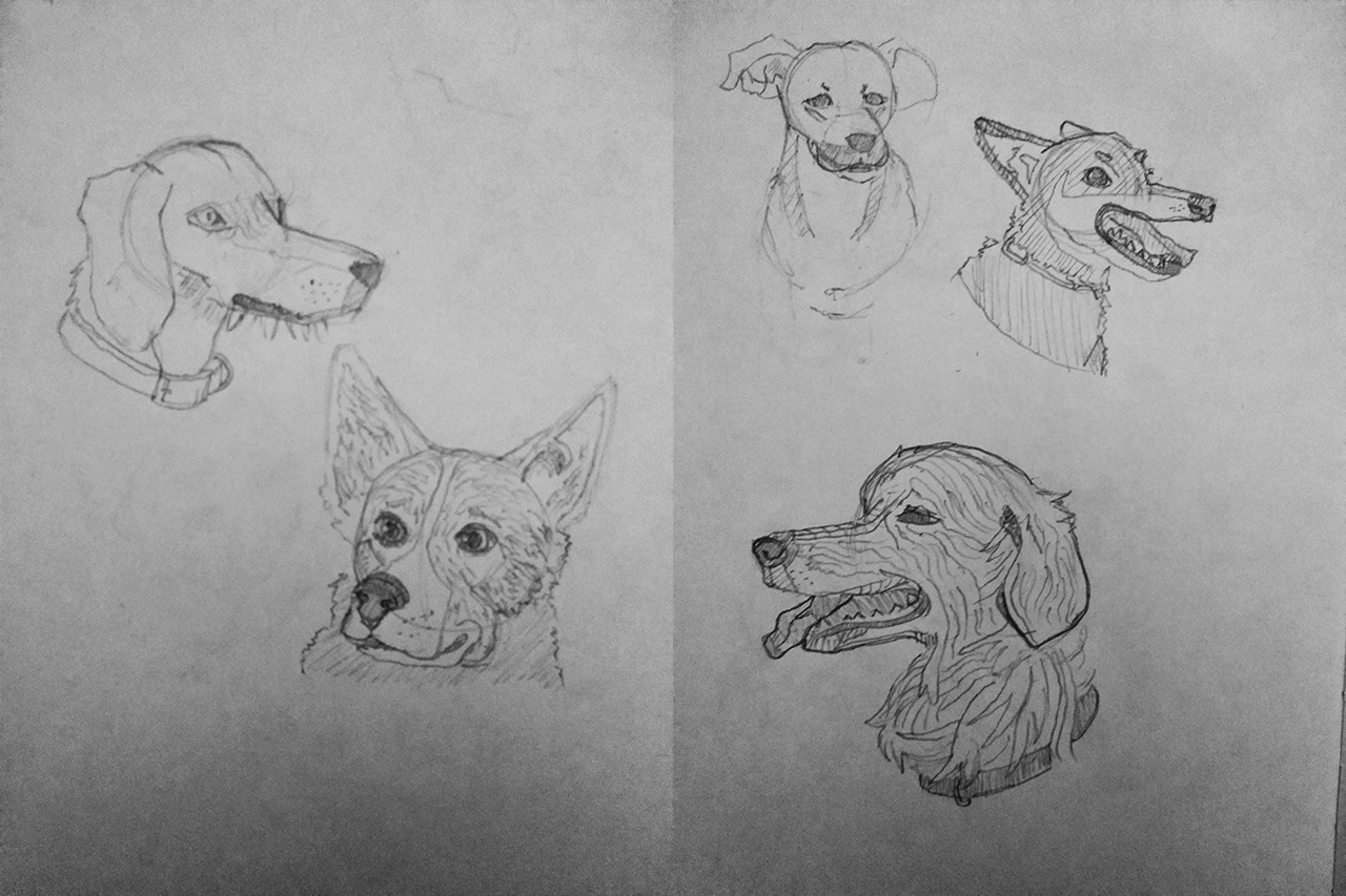 dog-heads-quick-sketches-3-by-artistfurhire-fur-affinity-dot-net