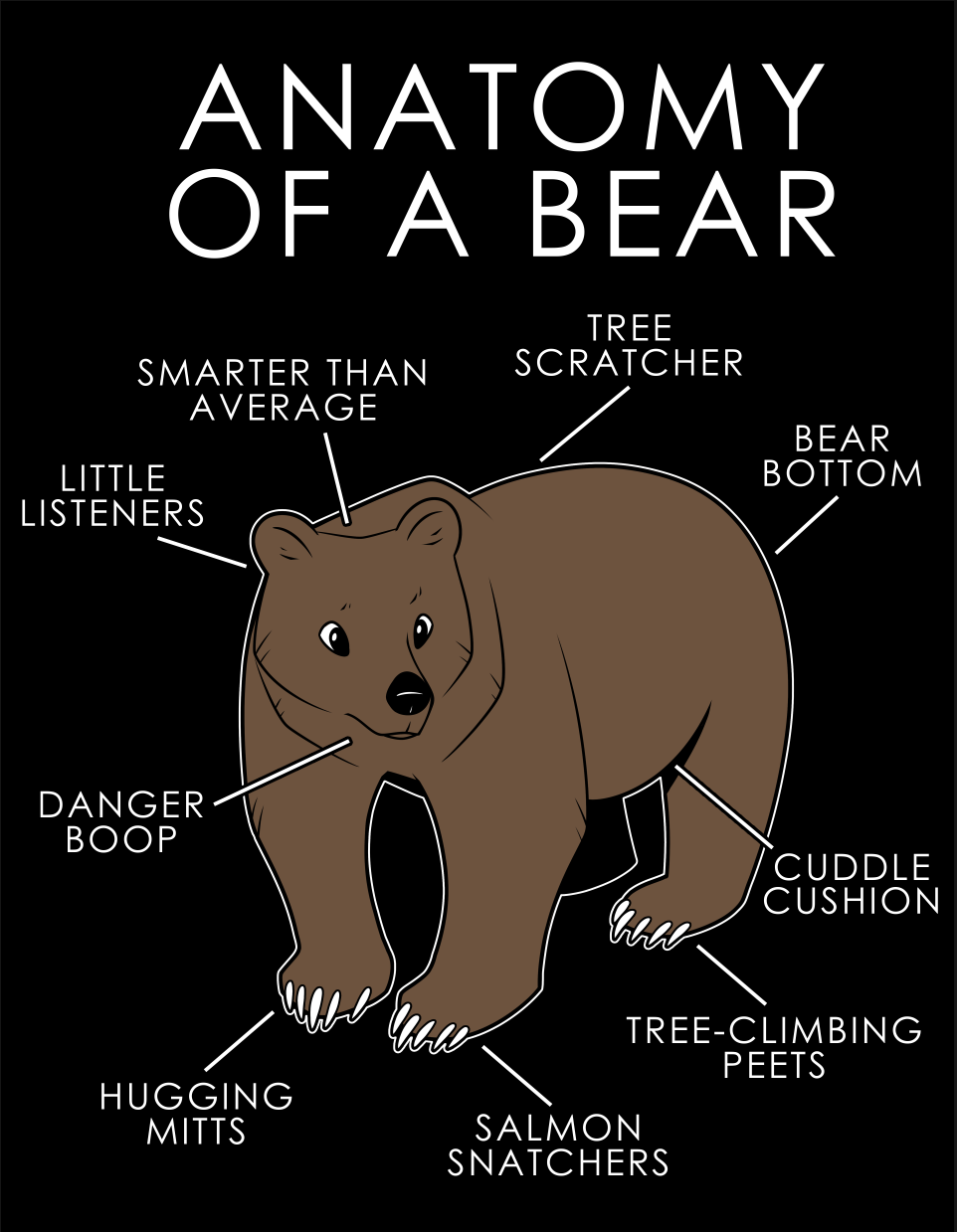 I m a bear. Bear Anatomy. Brown Bear Anatomy. Анатомия бурого медведя. Bear with me медведь.