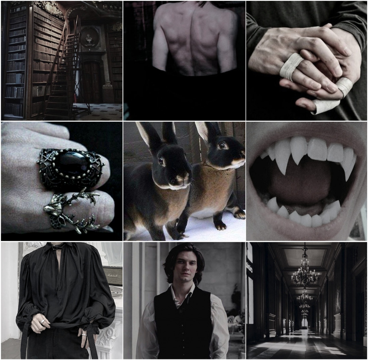 Victor Moodboards by Aurora123 -- Fur Affinity [dot] net