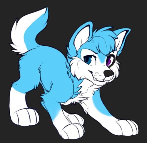 Austin (Feral Version) by AustinTheHuskyPup -- Fur Affinity [dot] net