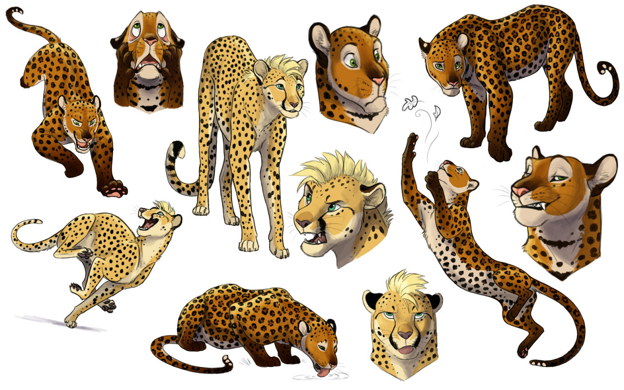 Spotty Sketches