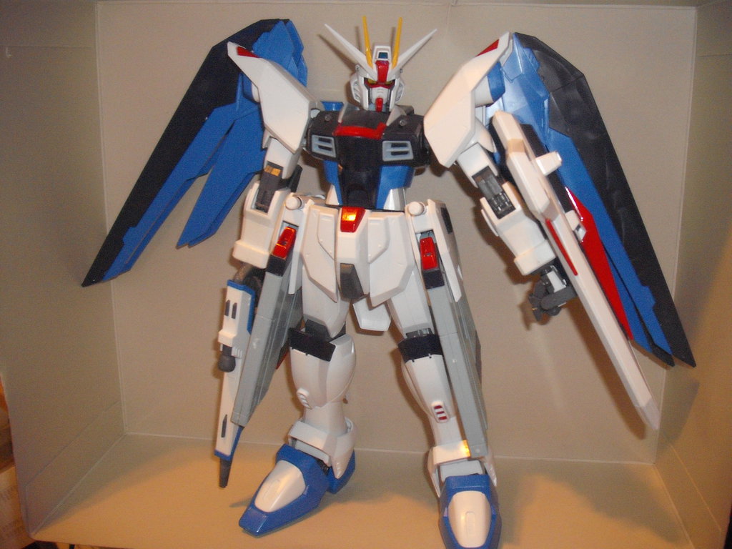 1/60 Big Scale Freedom GUNDAM Completed by Avatar260 -- Fur 