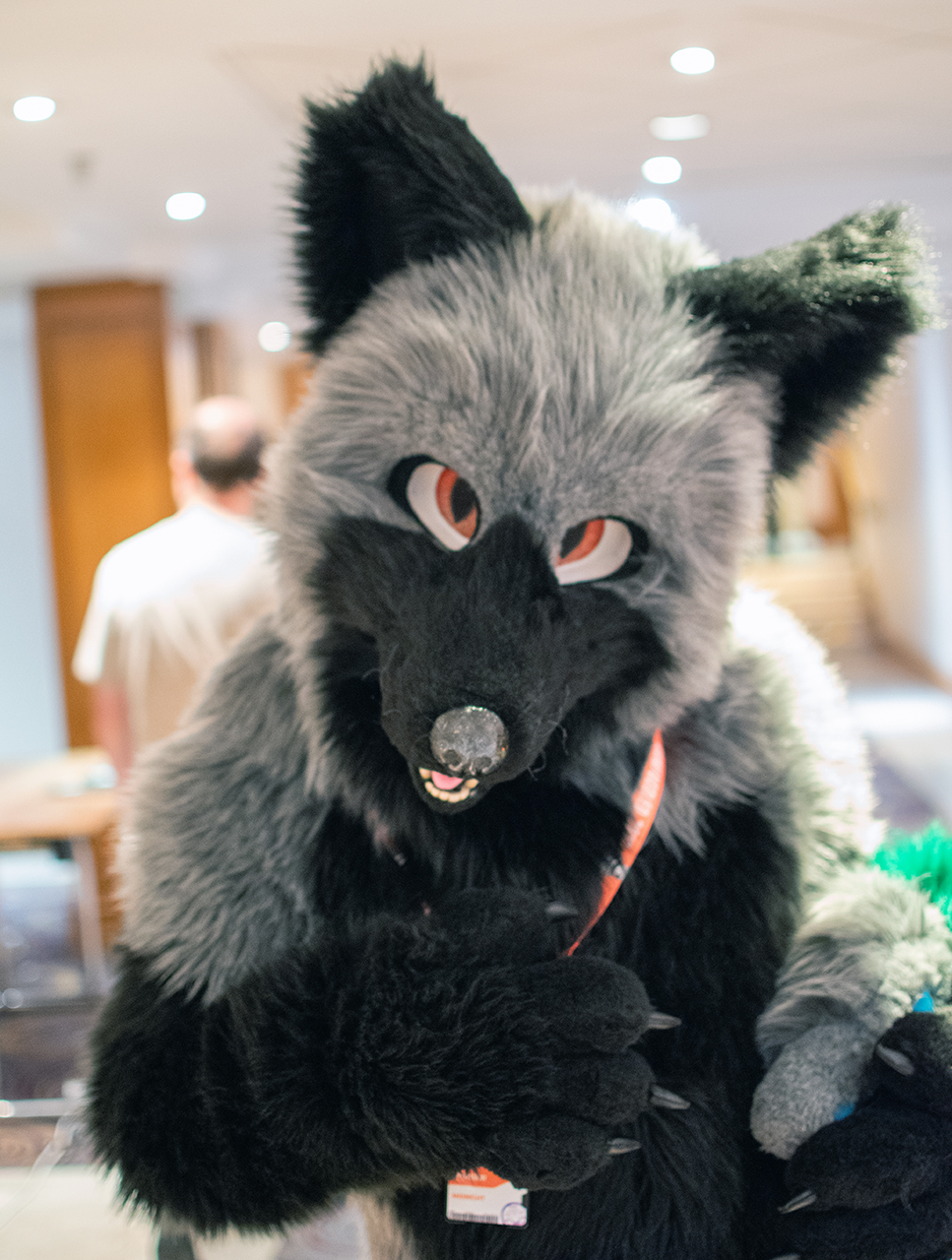 Fox Coming by Awkore -- Fur Affinity [dot] net