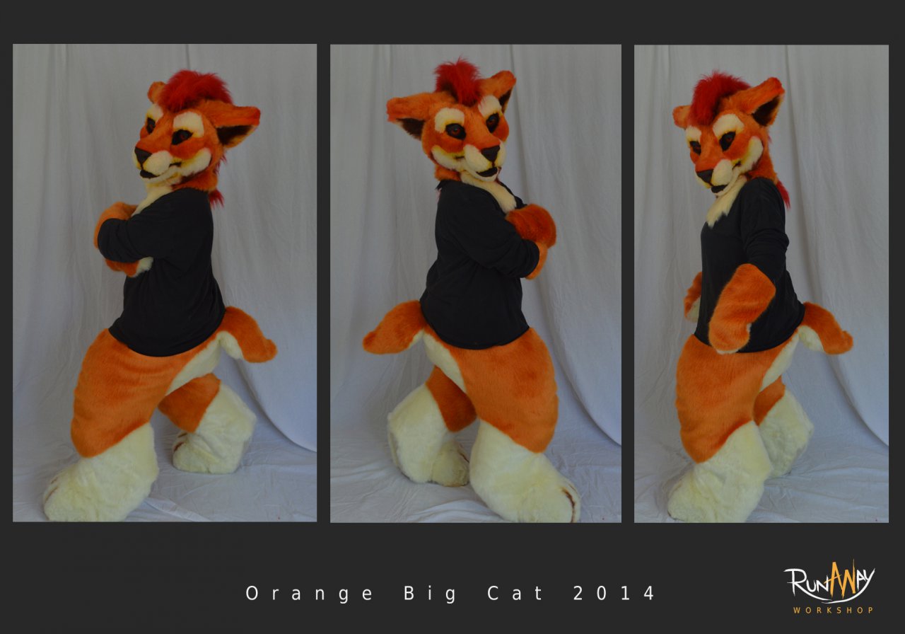 Orange big cat digitigrade halfsuit