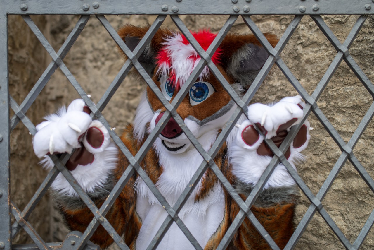 Firkin The Fox / Behind Bars | eBay