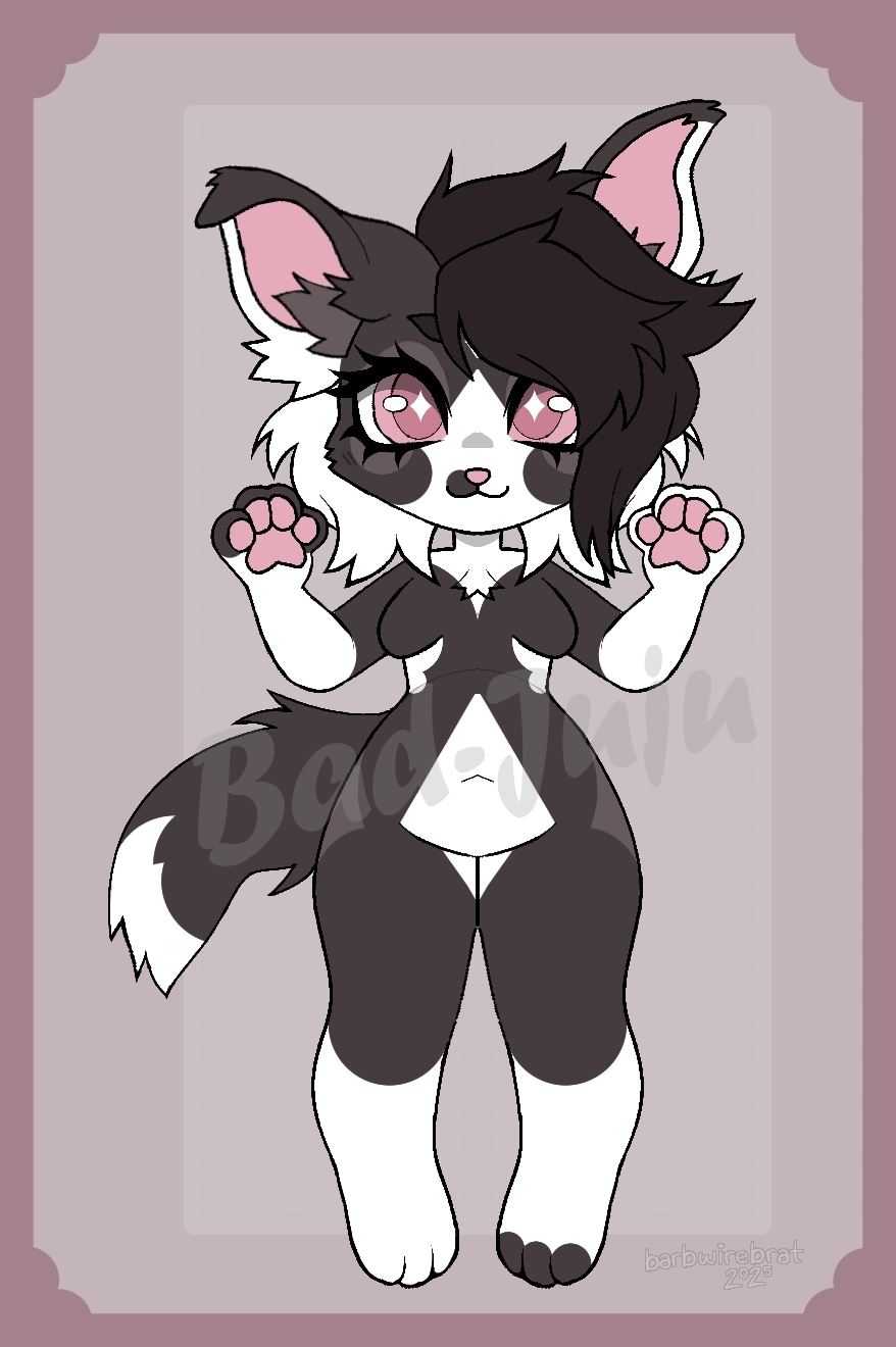 Border Collie Adopt (hair)