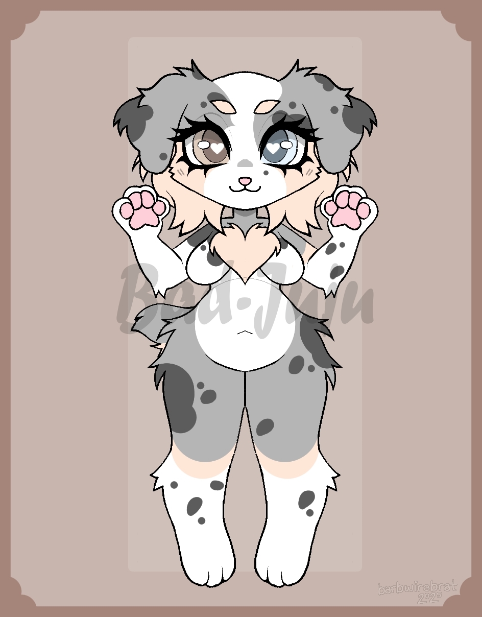 Australian Shepherd Adopt