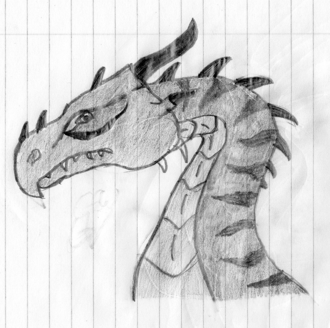 dragon head profile drawing