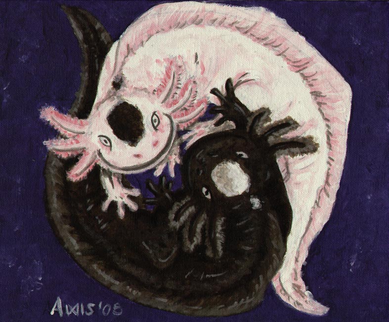 Axolotl Painting by balorkin Fur Affinity dot net