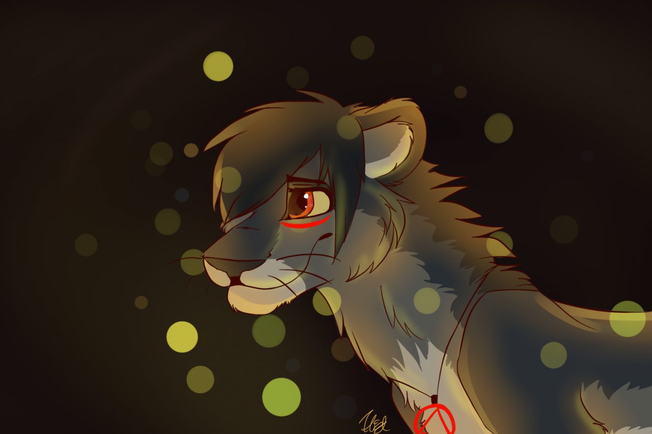 Rinny in the light by Baltowolfdoglover -- Fur Affinity [dot] net
