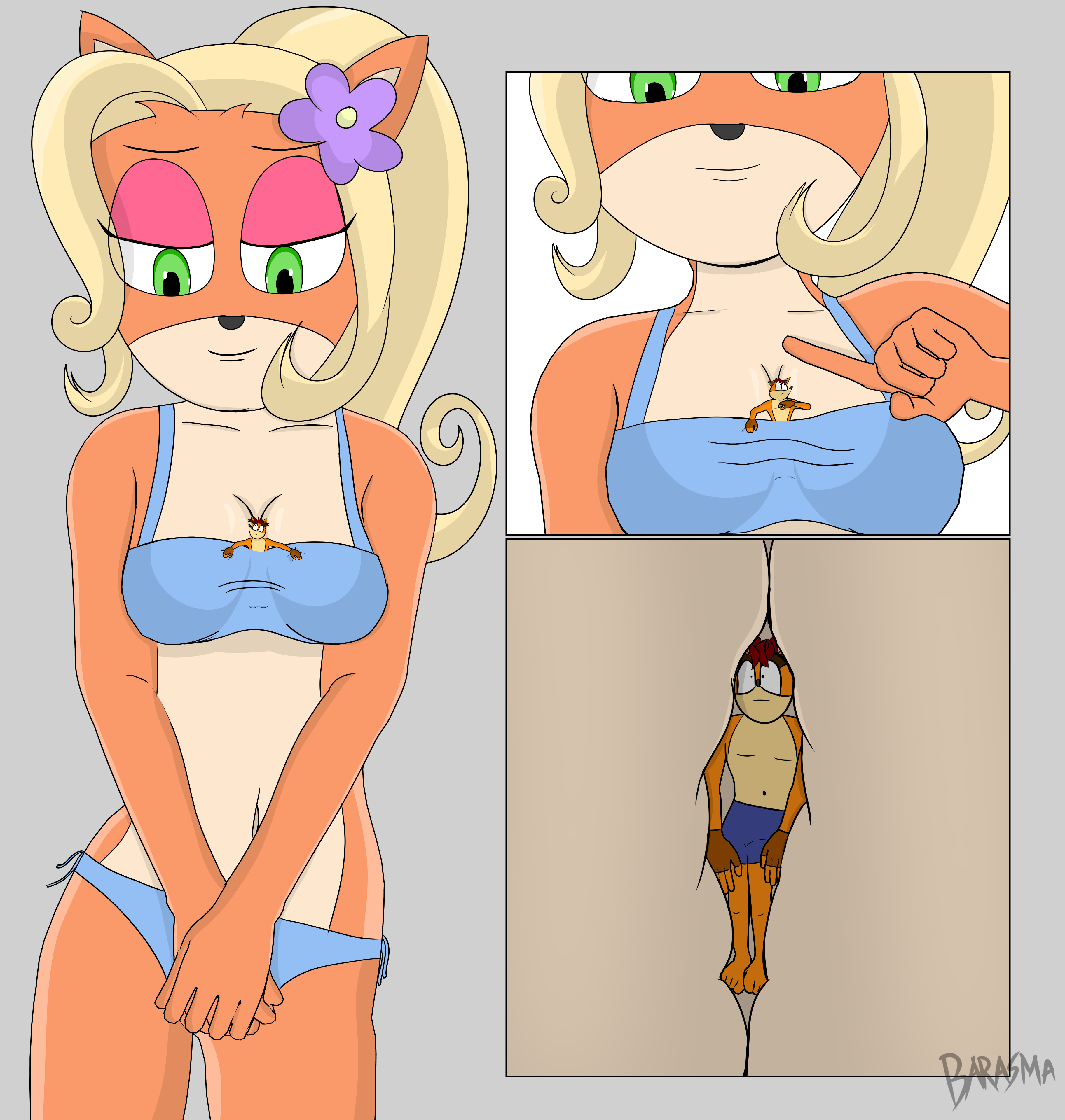 Cocos Safest Place by Barasma -- Fur Affinity [dot] net