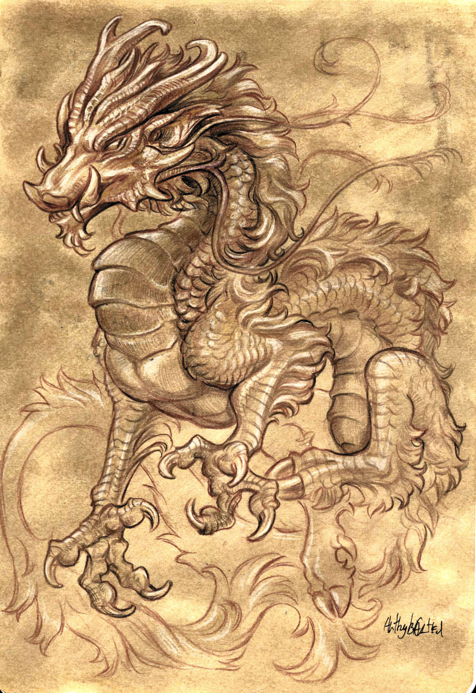 Sketch dragon by Bazted -- Fur Affinity [dot] net