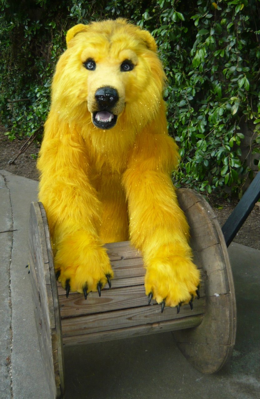 bear quadsuit