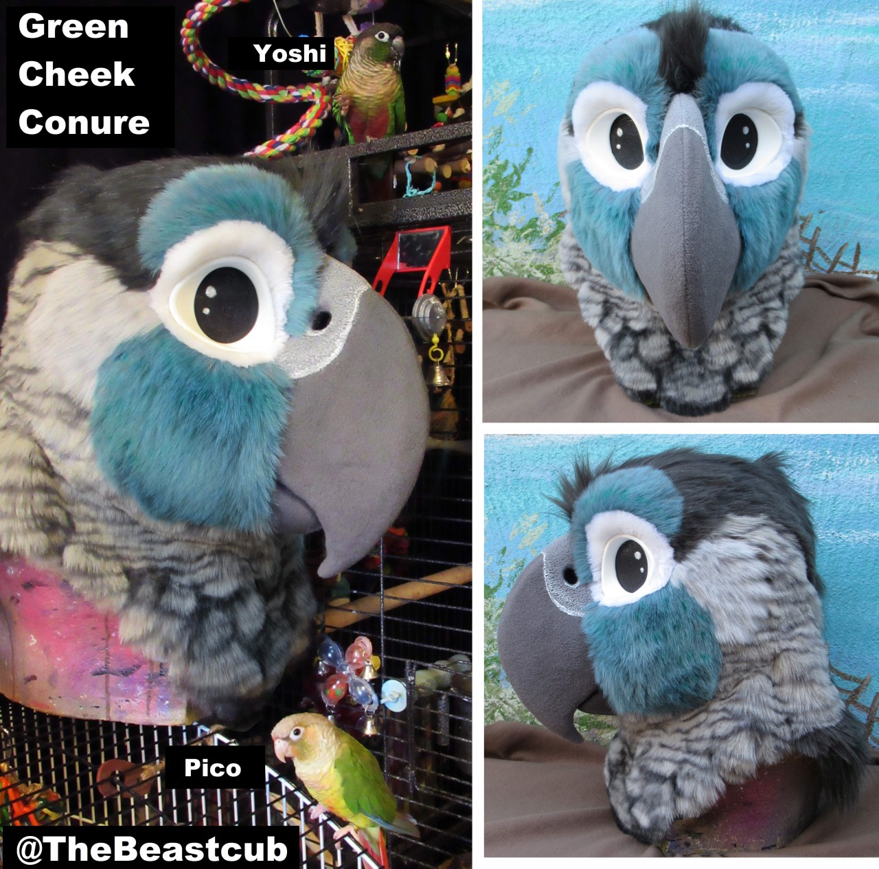 conure plush