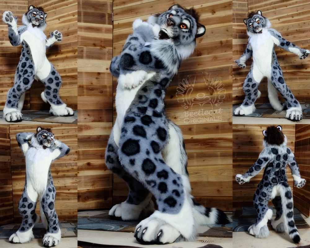 Jase the Snow Leopard - Photo page. 