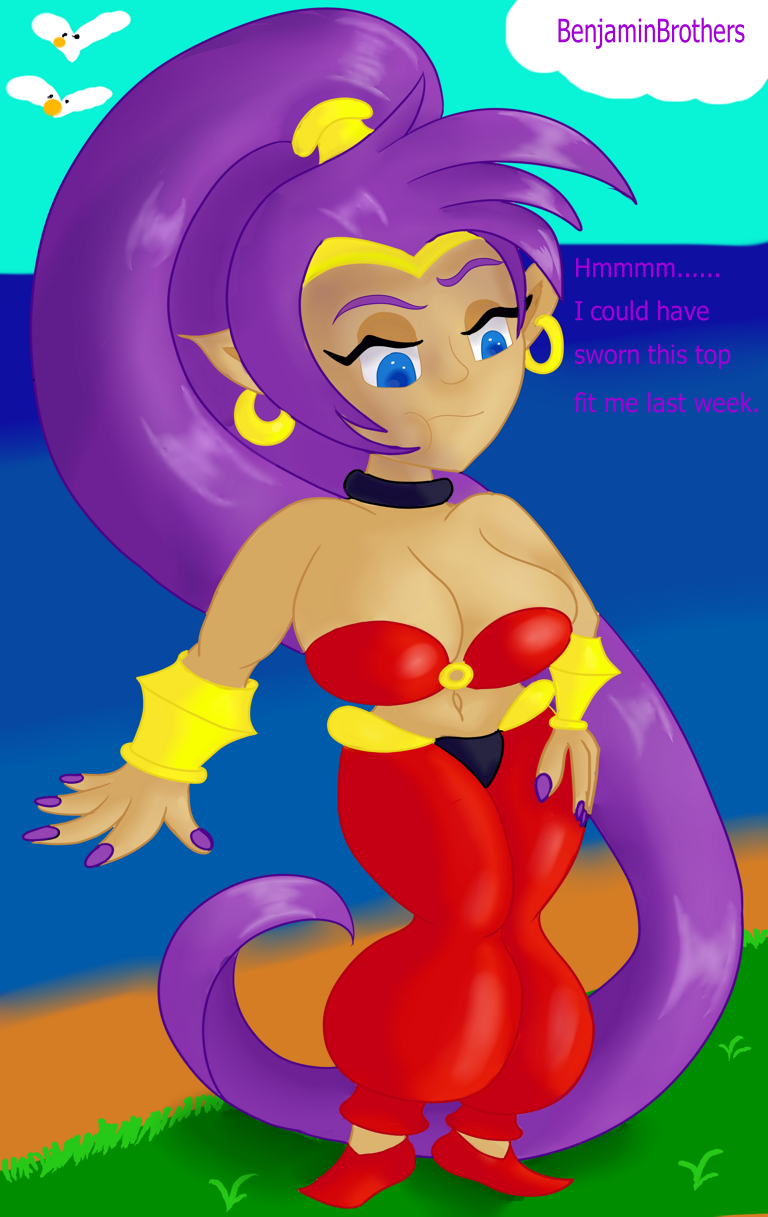 Shantae: Top-Heavy Hero by BenjaminBrothers -- Fur Affinity [dot] net