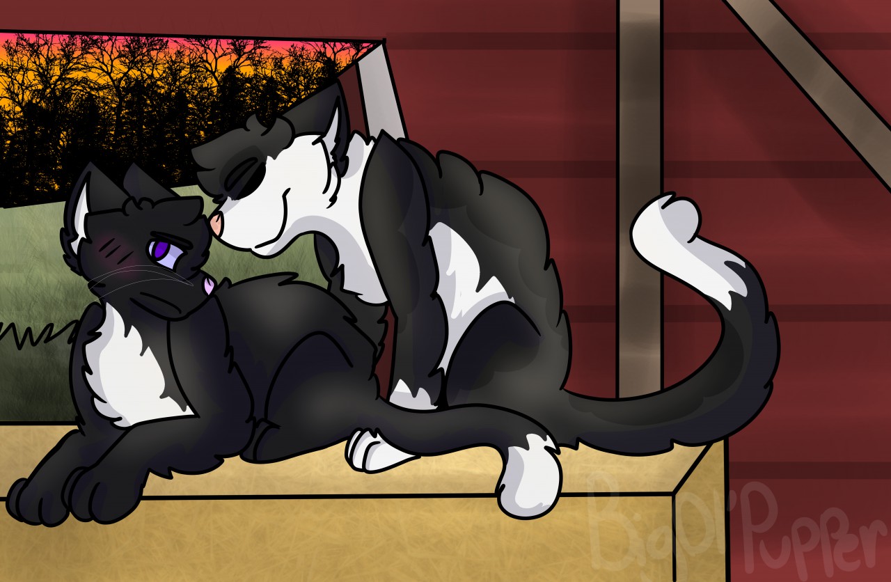 Ravenpaw (Warrior cats) by Hoak -- Fur Affinity [dot] net