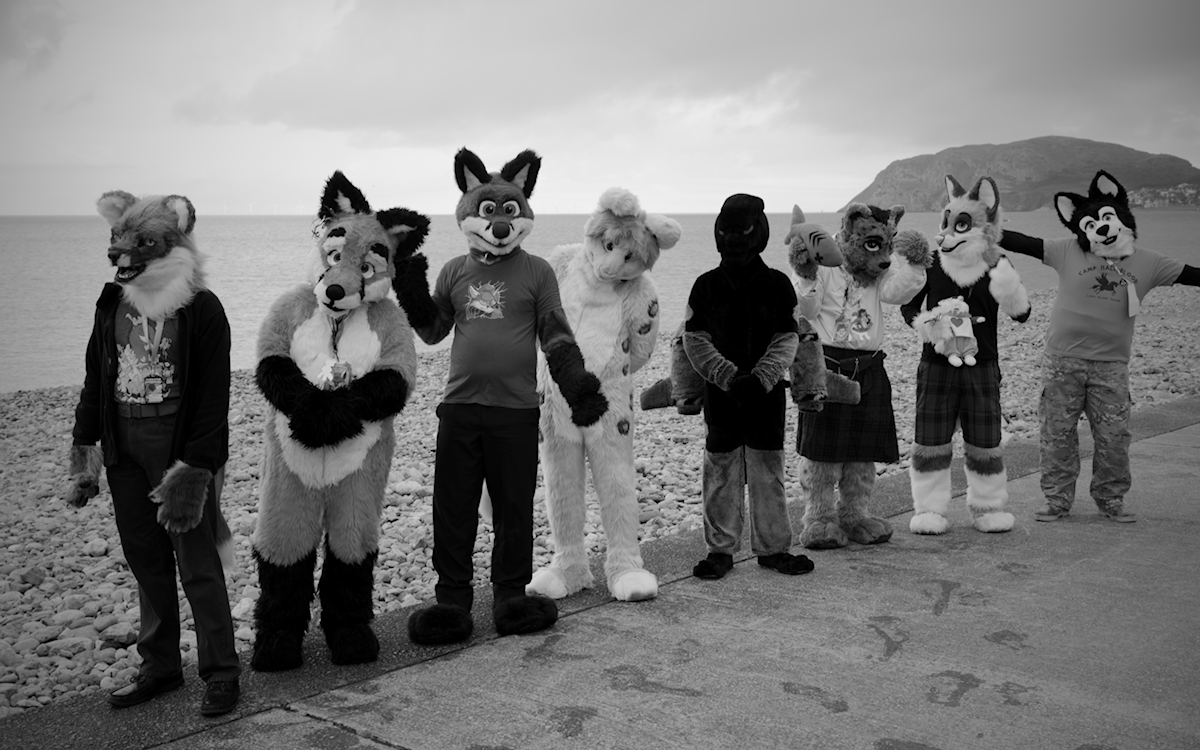 Fursuiting at the beach by binky-bunny -- Fur Affinity [dot] net