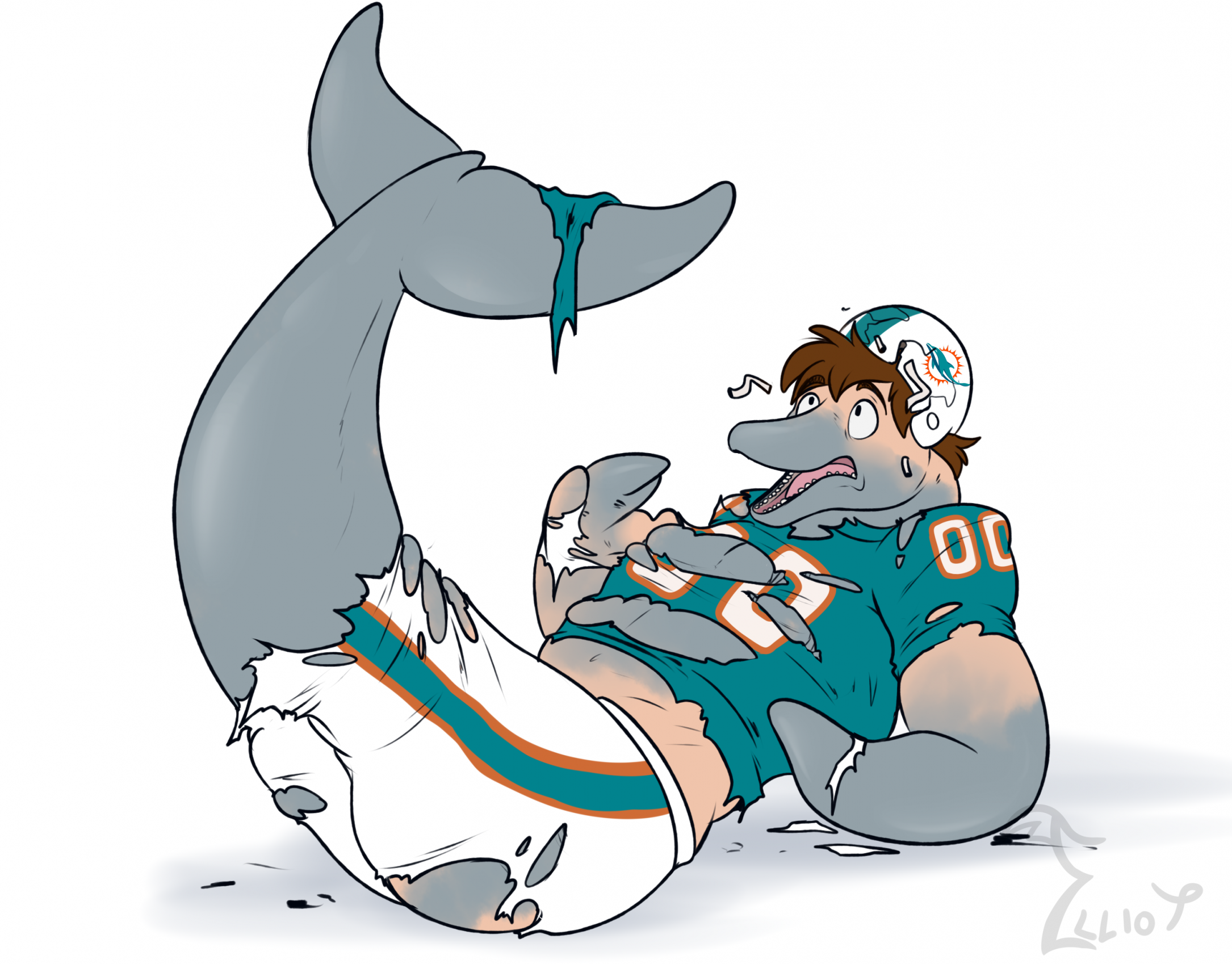 GO Dolphins GO