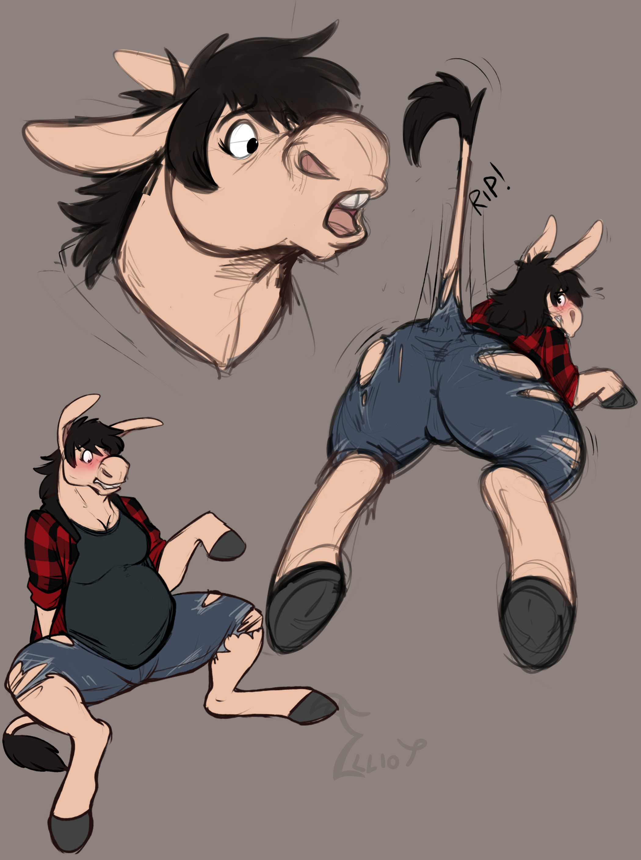 Donkey tf