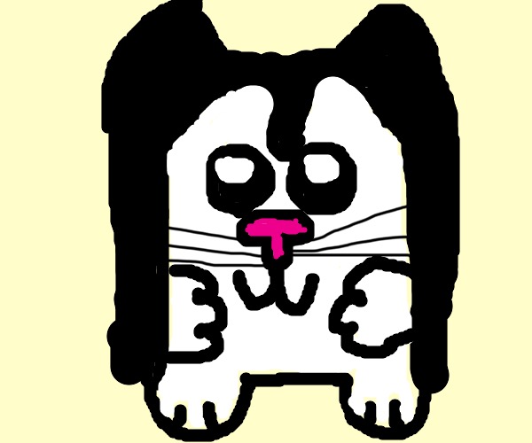 Anya Knife Cat Meme by CRUMPiT-CROC -- Fur Affinity [dot] net
