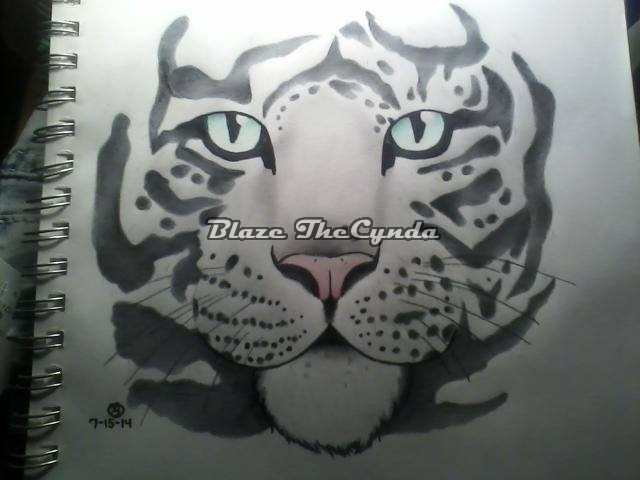 Person Is Drawing The Face Of A Tiger In Colored Pencils Background,  Picture Of A Tiger To Draw Background Image And Wallpaper for Free Download